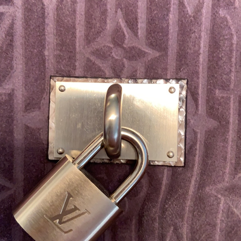 LOUIS VUITTON PYTHON SUEDE NUBUCK SHOULDER BAG - Picture 16 of 16
